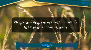 يلّا اضحك بقوة.. توم وجيري راجعين على CN بالعربية بضحك مش هيتقفل!